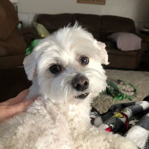 Meet your Posher, Deanna